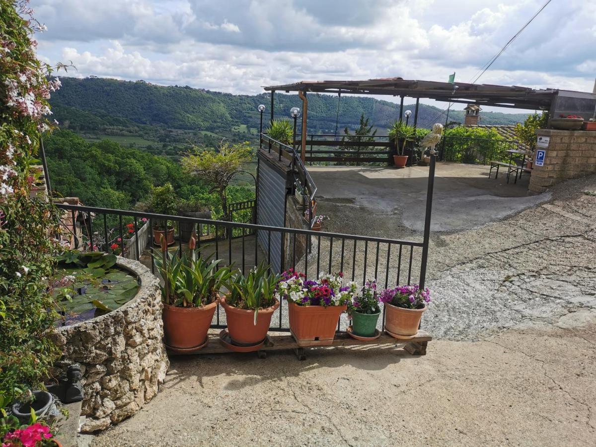 Francigena Sul Lago Montefiascone Luaran gambar